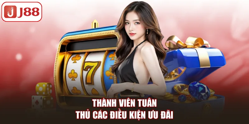 Thành viên tuân thủ các điều kiện ưu đãi
