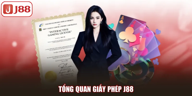 Tổng quan giấy phép J88